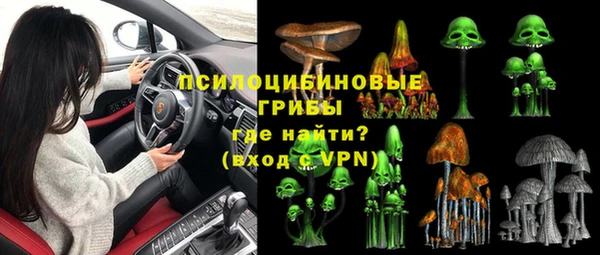 Альфа ПВП Армянск