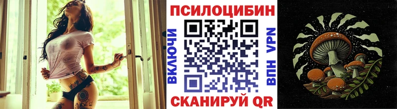 Галлюциногенные грибы Magic Shrooms  продажа наркотиков  Грайворон 