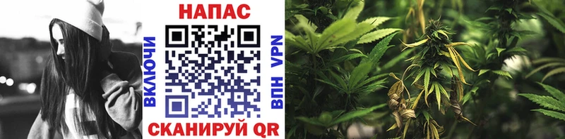 mega ТОР Грайворон это телеграм Шишки марихуана конопля